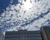 6月のイベント紹介します📣 6月のイベント紹介します📣