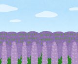 自律神経を整える☺️梅雨の体調管理について　